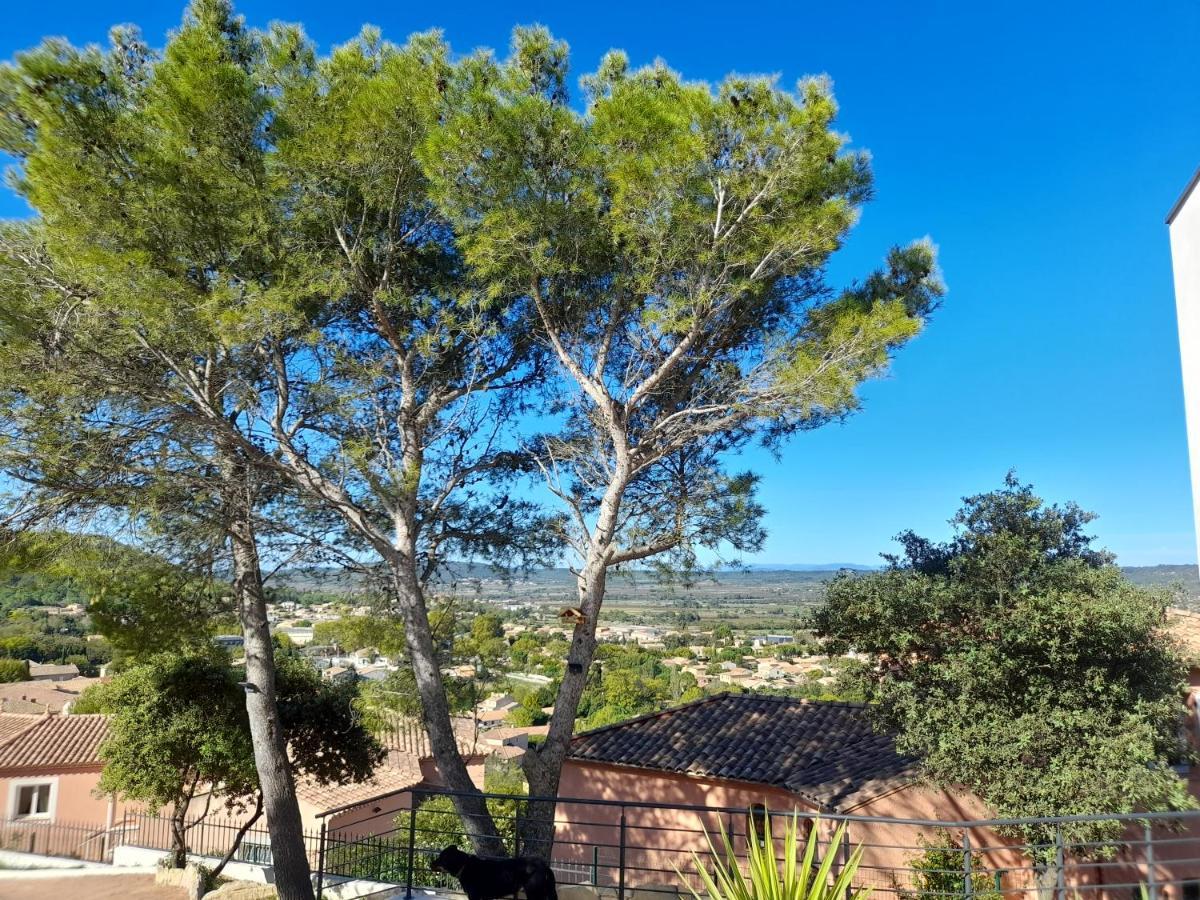 Studio Du Roc Des Garrigues Langlade Bagian luar foto