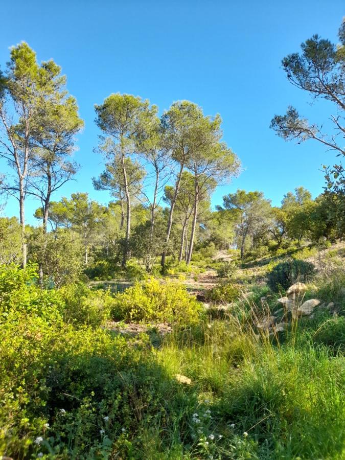 Studio Du Roc Des Garrigues Langlade Bagian luar foto